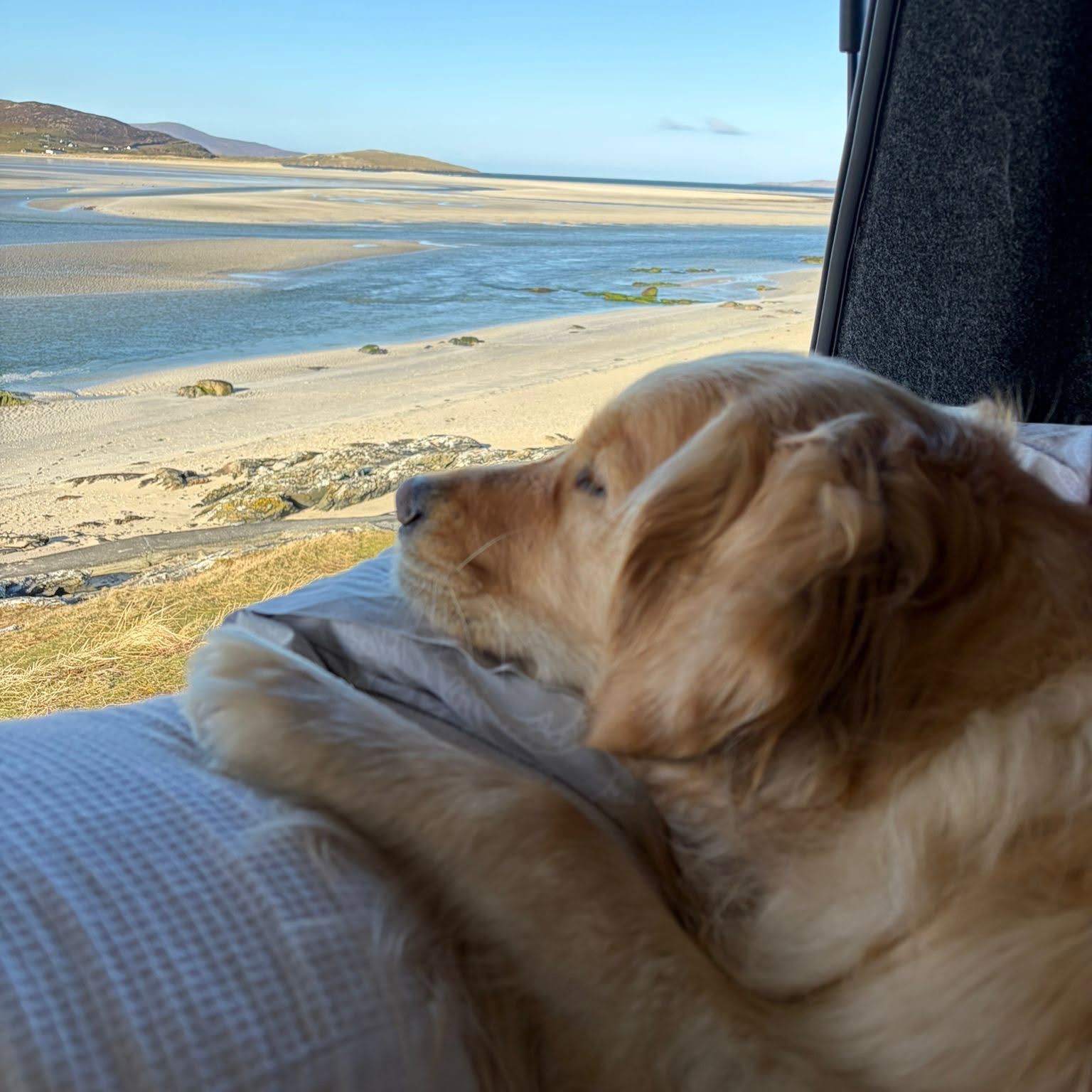 dog friendly scotland campers